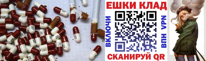 Экстази Philipp Plein  Купить закладки  Пенза 