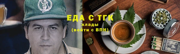 индика Аркадак