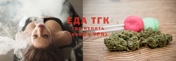 индика Аркадак