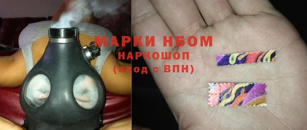 индика Аркадак