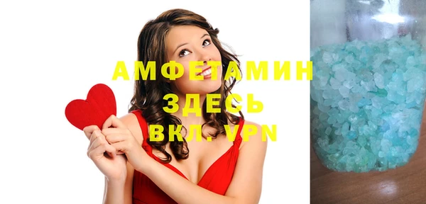 шишки Арсеньев