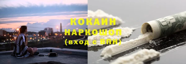 шишки Арсеньев