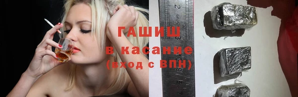 шишки Арсеньев