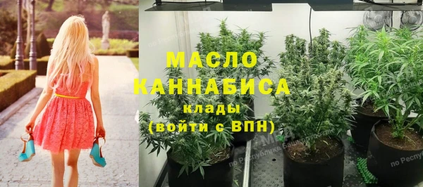 индика Аркадак