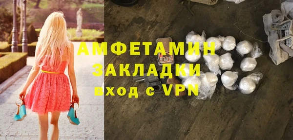 шишки Арсеньев