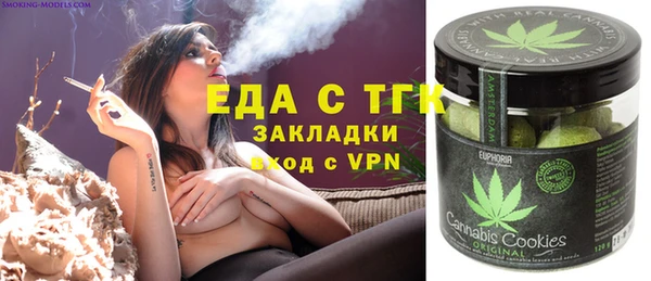 индика Аркадак