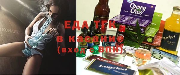 индика Аркадак