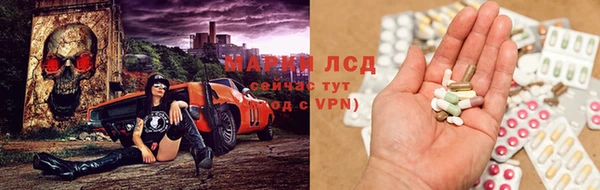 шишки Арсеньев